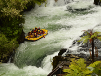Rondreis Nieuw-Zeeland in zes weken