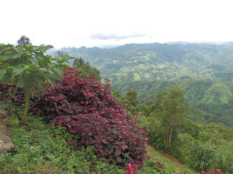 Djoser - Uitzicht tijdens lunch