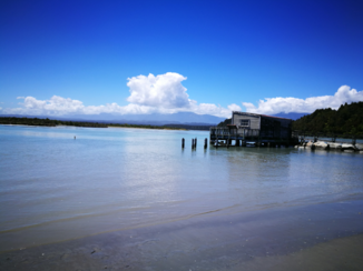 Nieuw-Zeeland - Kajakken in Okarito
