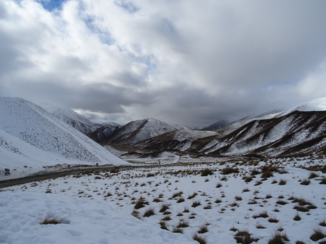 Nieuw-Zeeland - Lindis Pass adembenemend mooi besneeuwd!