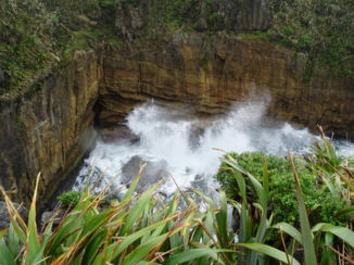 Nieuw-Zeeland - Blow hole Punakaiki Pancakes