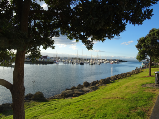 Nieuw-Zeeland - Napier haven