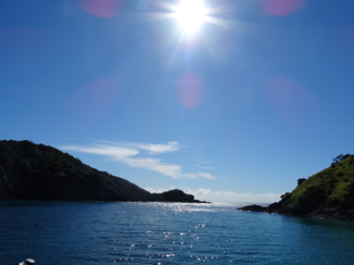 Nieuw-Zeeland - The Far North, Pahia sea cruise