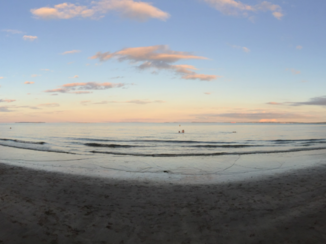Nieuw-Zeeland - Brown bay, Auckland