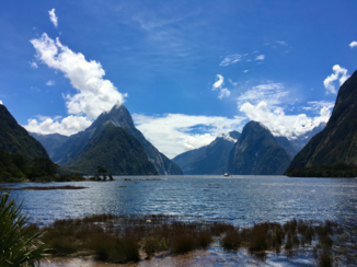 Nieuw-Zeeland - Milford Sound