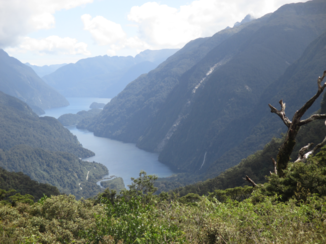 Nieuw-Zeeland - Doubtful Sound