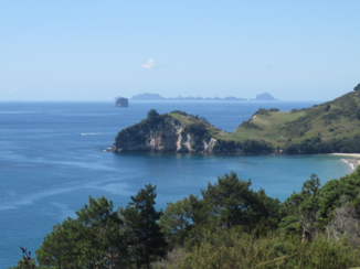 Nieuw-Zeeland - Coromandel