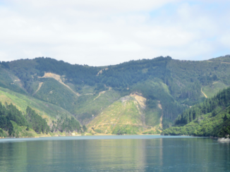 Nieuw-Zeeland - Aankomst zuideiland Interislander