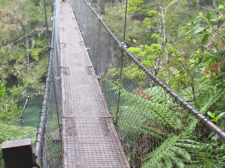 Nieuw-Zeeland - Abel Tasman Park