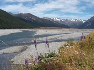 Nieuw-Zeeland - Arthurs pass