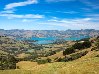 Nieuw-Zeeland - Banks Peninsula