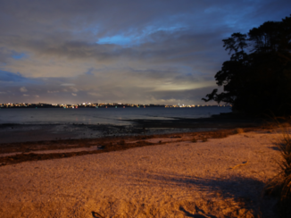 Zuidereiland - Zicht op Auckland vanaf BeachLands