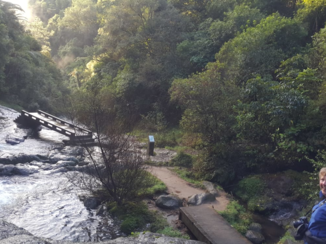 Nieuw-Zeeland - Kaiate fall