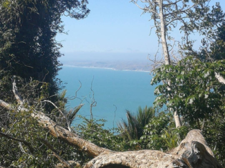 Nieuw-Zeeland - Uitzicht