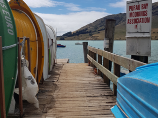 Nieuw-Zeeland - Purau bay