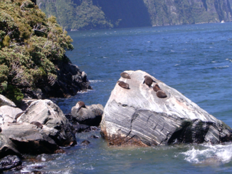 The Official Centre of New Zealand - Milford sound