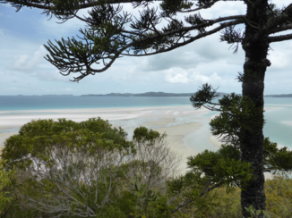 Walkabout - Whitsundays