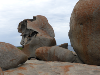 Walkabout - Beautiful Kangaroo Island