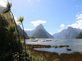 Mount Taranaki - Milford Sound
