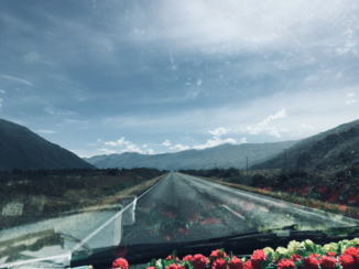 Nieuw-Zeeland - Eindeloze wegen