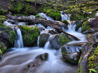 Nieuw-Zeeland - Silence