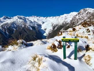 Nieuw-Zeeland - Alex Knob track, Franz Josef glacier