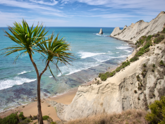 Nieuw-Zeeland - Clifton