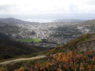 Nieuw-Zeeland - Wellington