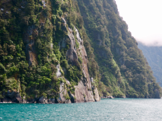 Nieuw-Zeeland - Milford Sound