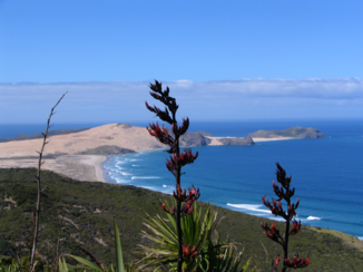 Nieuw-Zeeland - Het meest noordelijke punt, Cape Reinga