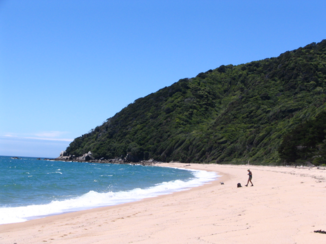 Nieuw-Zeeland - De baai waar Abel Tasman landde (en werd aangevallen)