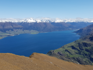 Nieuw-Zeeland - Ishtmus Peak Track