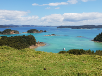 Nieuw-Zeeland - Bay of Islands