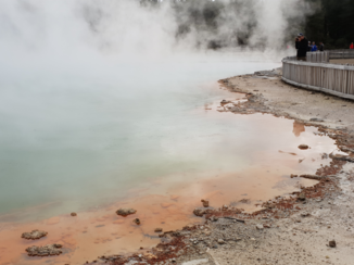 Nieuw-Zeeland - Wai-O-Tapu