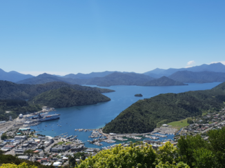 Nieuw-Zeeland - Picton, Tirohanga Track