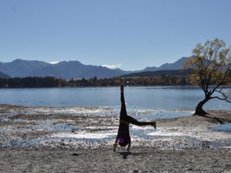Nieuw-Zeeland - Wanaka tree