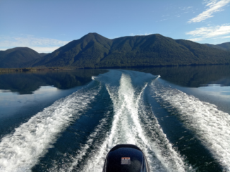 Nieuw-Zeeland - Boat trip