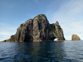 Nieuw-Zeeland - Bay of islands