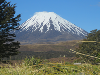 Nieuw-Zeeland - Noodlot of.............
