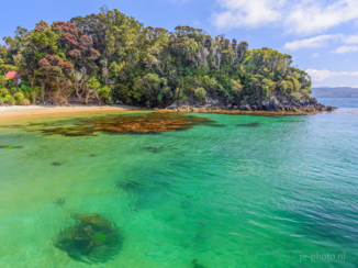 Nieuw-Zeeland - Ulva Island