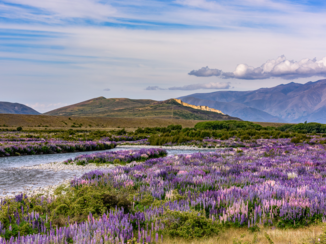 Nieuw-Zeeland - Lindis Pass