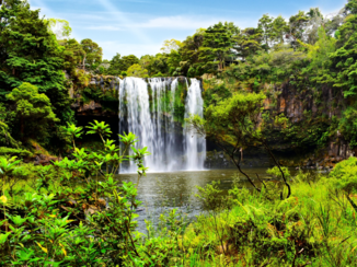 Nieuw-Zeeland - Rainbow Falls
