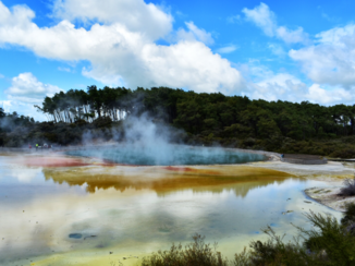 Nieuw-Zeeland - Wai-O-Tapu Thermal wonderland
