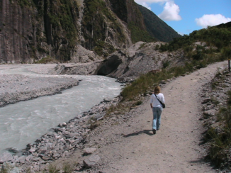 Nieuw-Zeeland - Fox Glacier South Island 2006