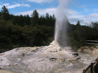 Nieuw-Zeeland - Rotorua 2006