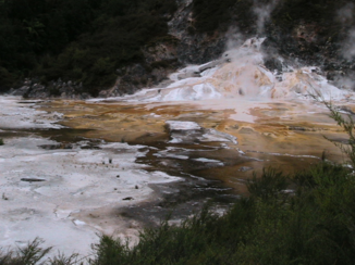 Nieuw-Zeeland - Lost World Rotorua 2016