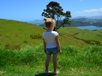 Nieuw-Zeeland - Coromandel