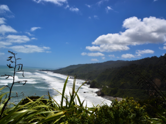 Nieuw-Zeeland - Onderweg Naar Punakaiki.