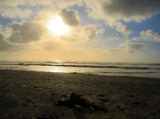 Nieuw-Zeeland - Punakaiki