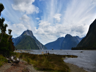 Nieuw-Zeeland - Fiordland N.P.